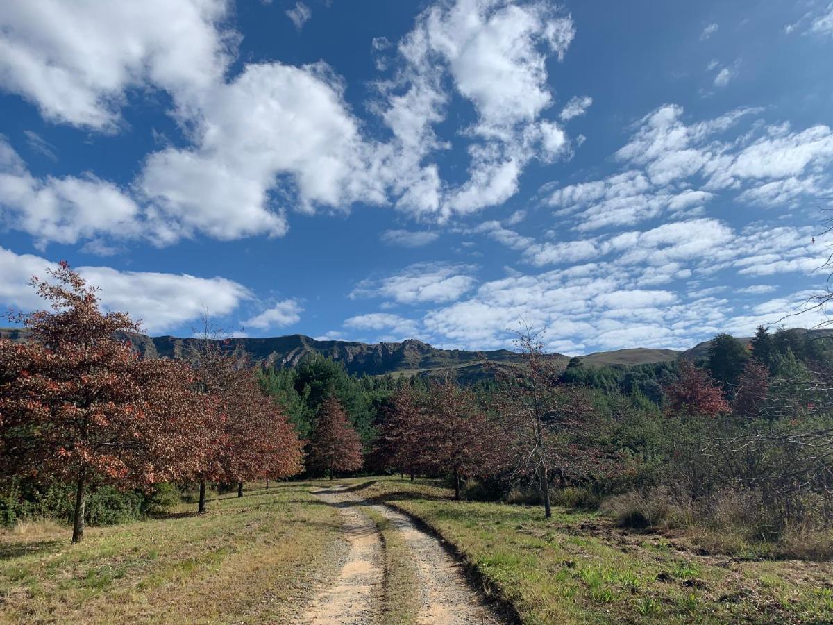 ElandskopBrackenburn Trout And Trail Retreat公寓 外观 照片
