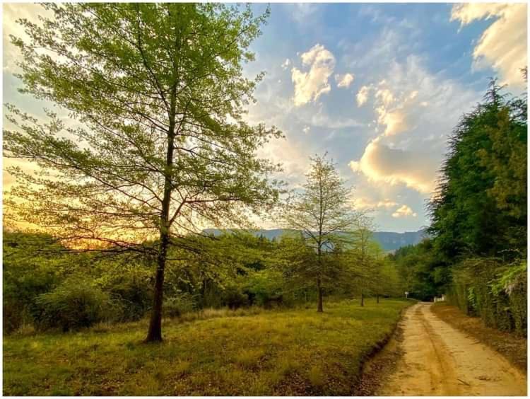 ElandskopBrackenburn Trout And Trail Retreat公寓 外观 照片